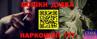 крисы Комсомольск-на-Амуре