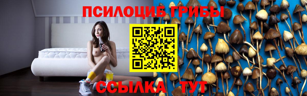 Псилоцибиновые грибы MAGIC MUSHROOMS Волжский